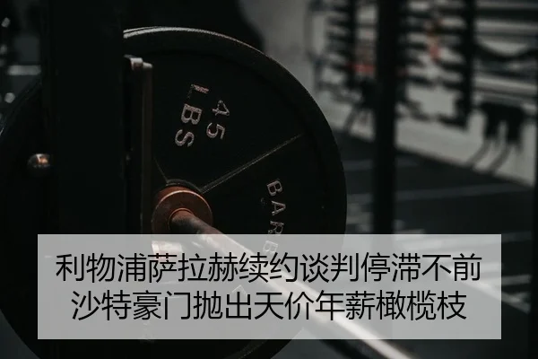 li-wu-pu-sa-la-he-xu-yue-tan-pan-ting-zhi-bu-qian-sha-te-hao-men-pao-chu-tian-jia-nian-xin-gan-lan-zhi-2-603.jpg